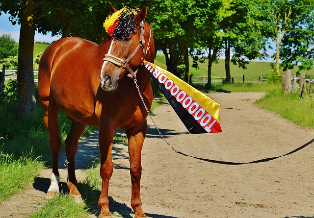 马刺已经遭 马刺已经遭
