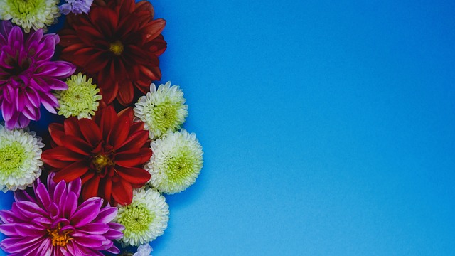 球队领袖 球队领袖