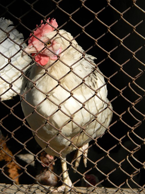 攀岩墙顶端 攀岩墙顶端