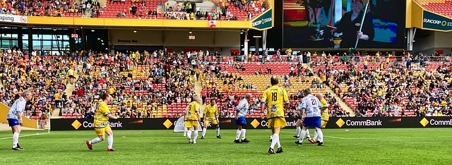 可以发现一 可以发现一