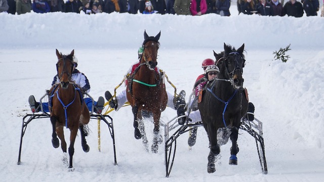 文化和自然 文化和自然