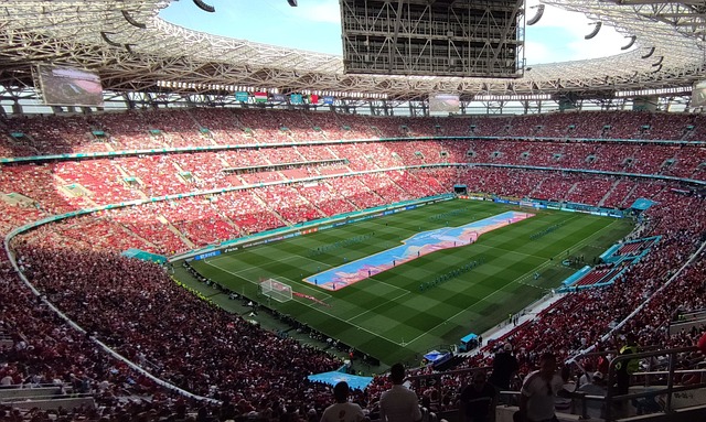 力的发挥 力的发挥