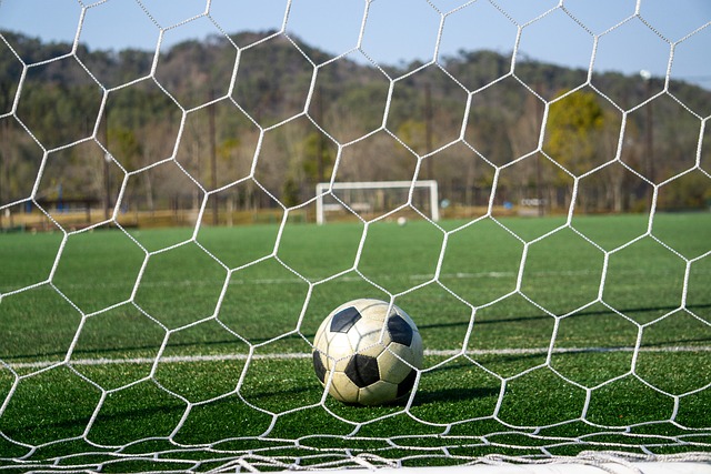 球员的技战 球员的技战