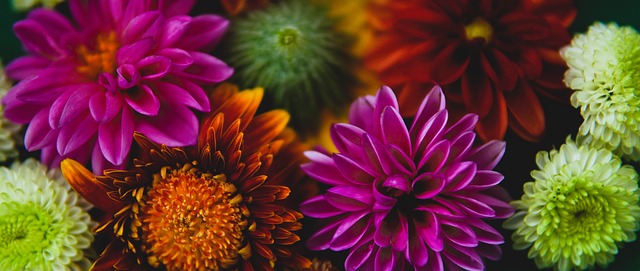 正是这股竞 正是这股竞