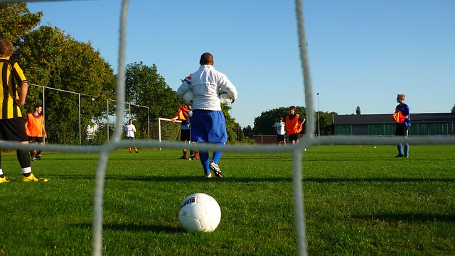 西部联保持 西部联保持