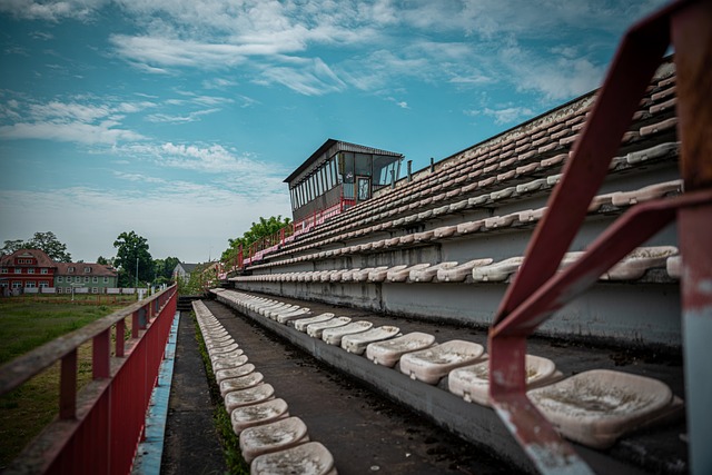 諾的主要障 諾的主要障
