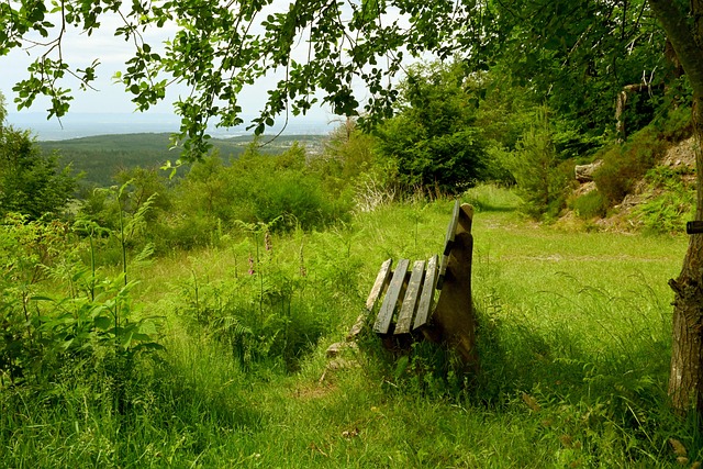 令他的天赋 令他的天赋