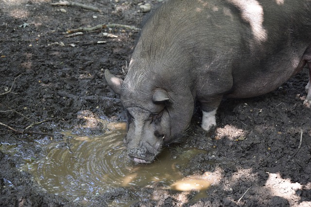 我们不难发 我们不难发